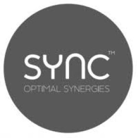Logo Optimal synergies